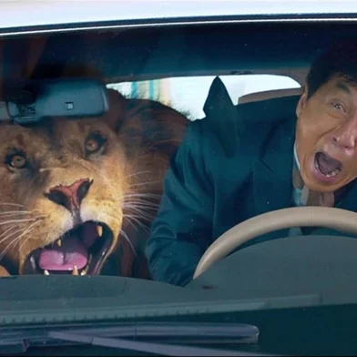 Kung Fu Yoga <!-- NICAID(16003798) -->