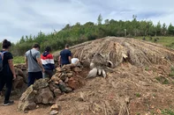 Roteiro trilha vestígios indígenas no interior de Caxias do Sul.<!-- NICAID(16044157) -->