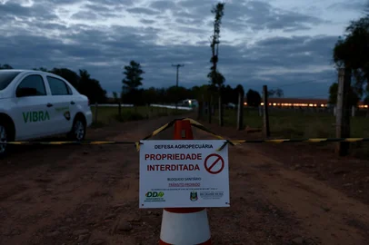 MONTENEGRO, RS, BRASIL, 16/05/2025: O Ministério da Agricultura e Pecuária confirmou nesta sexta-feira (16) a detecção de um caso de influenza aviária em aves comerciais do Estado. Trata-se do primeiro caso encontrado em granjas comerciais do Brasil. Em razão disso, foi decretado estado de emergência zoossanitária por 60 dias. Foto: Jefferson Botega/Agência RBSIndexador: jeff botega<!-- NICAID(16039402) -->
