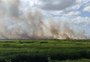Incêndio fora de controle atinge 500 hectares da Estação Ecológica do Taim