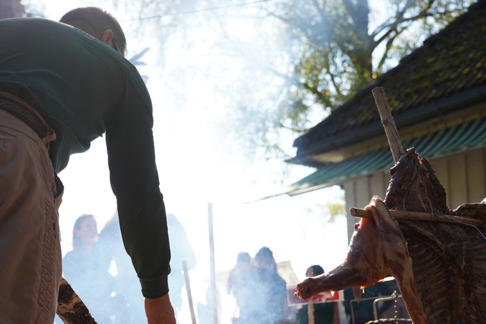 Vikings de Bombacha / Divulgacao Vikings de Bombacha / Divulgacao