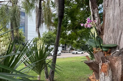 Rosane de Oliveira / Arquivo pessoal image