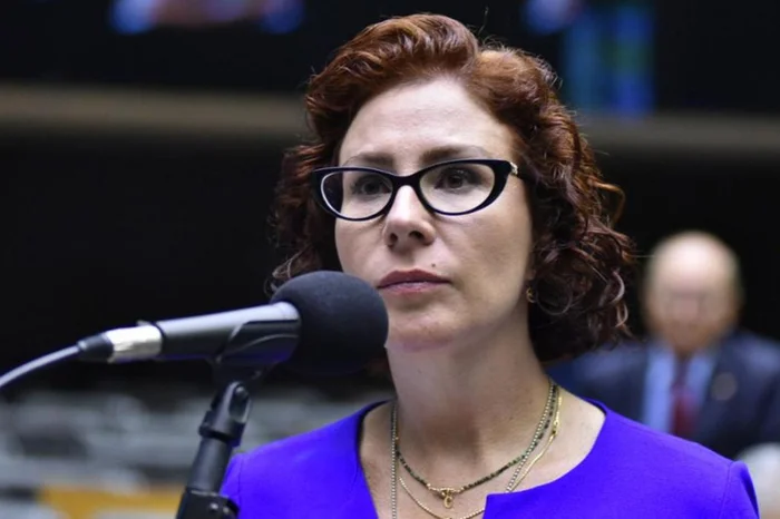 Zeca Ribeiro / Câmara dos Deputados