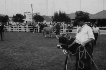 Print de documentário de 1963 sobre a Exposição Estadual de Animais, no Menino Deus, em POA<!-- NICAID(15515738) -->