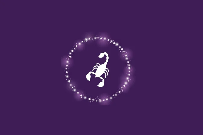 Kachalova Kseniia / Shutterstock | Portal EdiCase