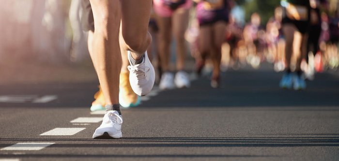 pavel1964 / stock.adobe.com