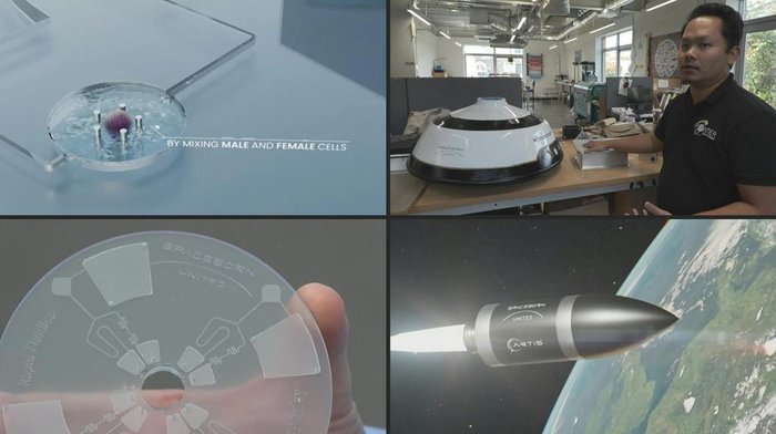 JUSTINE GERARDY,JULIE CAPELLE / AFPTV / SPACEBORN UNITED / AFP