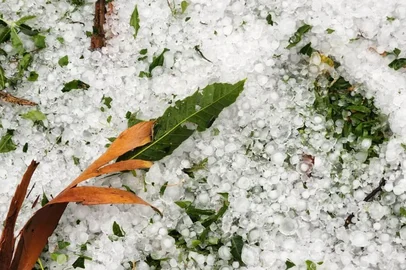 Imagens da tempestade que afetou propriedades em Passo Fundo.<!-- NICAID(16215430) -->