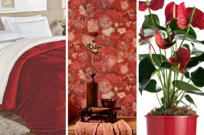 Casa&Cia Vermelho <!-- NICAID(15692092) -->