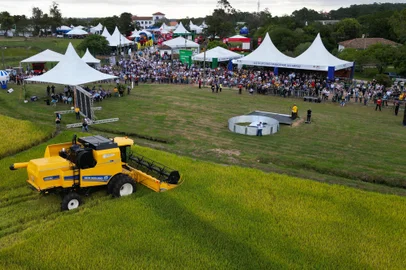 COLHEITA DO ARROZ: Medidas de combate à estiagem devem ser anunciadas nos próximos dias<!-- NICAID(15351199) -->