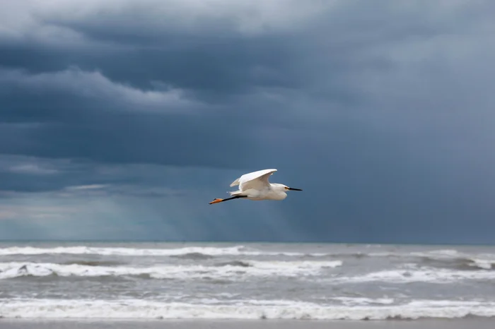 André Ávila / Agencia RBS