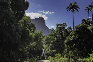 Raul Ribeiro / Jardim Botânico do Rio de Janeiro Raul Ribeiro / Jardim Botânico do Rio de Janeiro