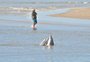 Projeto de pesca cooperativa entre pescadores e botos no Litoral Norte receberá R$ 950 mil nos próximos três anos