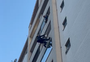 Bombeiros usam técnicas de rapel para resgatar gato de apartamento no 7º andar em prédio de Caxias do Sul 