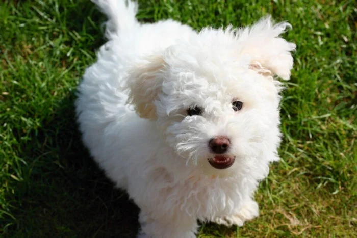 islavicek / Shutterstock | Portal EdiCase