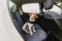 cute small jack russell dog in a car wearing a safe harness and seat belt. Ready to travel. Traveling with pets conceptFonte: 290541226<!-- NICAID(15353467) -->