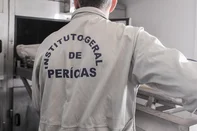 CAXIAS DO SUL, RS, BRASIL, 30/08/2023. Reportagem foi conhecer a rotina do IGP em Caxias Do Sul. (Neimar De Cesero/Agência RBS)Indexador: NEIMAR DE CESERO<!-- NICAID(15526301) -->