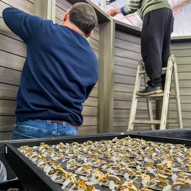 GUAPORÉ, RS, BRASIL, 05/08/2025. Expectativa dos expositores para a Mostra Guaporé de 2025, que será realizada nos dias 8, 9, 10 e 15, 16 e 17 de agosto, no Autódromo Internacional Nelson Luiz Barro. (Neimar De Cesero/Agência RBS)<!-- NICAID(16094766) -->