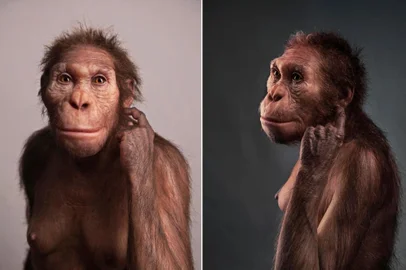 Uma equipe de cientistas da Universidade de Nova York, da Universidade de Witwatersrand e 15 outras instituições anunciaram a descoberta de vértebras fósseis de um "antigo parente humano", datadas de dois milhões de anos. A espécie em questão se trata do Australopithecus sediba. A descoberta foi publicada na quarta-feira (23) no periódico científico eLife.<!-- NICAID(14951094) -->