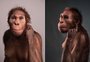"Caminhava como um humano, escalava como um macaco": pesquisadores descobrem fósseis de espécie parente dos humanos