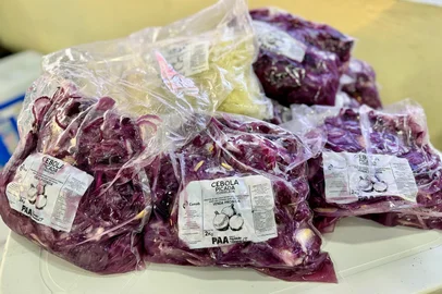 cebola congelada<!-- NICAID(16311798) -->