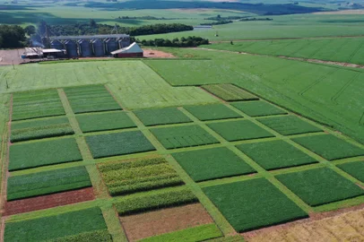 Cotribá promove em fevereiro o Coonecta Agro Ibirubá<!-- NICAID(15664750) -->