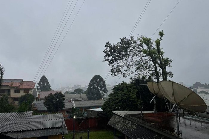 Rebecca Mistura / Agencia RBS