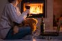 Young freelancer woman sits at the floor with a laptop and drinking wine on the fireplace background . Woman with her dog resting by the fireplace.Indexador: RSMFonte: 237789388<!-- NICAID(15145680) -->