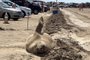 Elefante-marinho na orla da Praia do Cassino chama a atenção de veranistas<!-- NICAID(15656885) -->