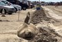 VÍDEO: elefante-marinho descansa na orla da Praia do Cassino e chama a atenção dos veranistas