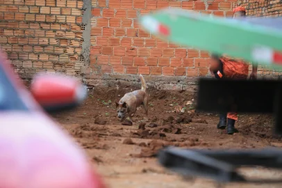 Ronaldo Bernardi / Agencia RBS GRAVATAÍ, RS, BRASIL, 13-03-2026: Família Aguiar: polícia e bombeiros fazem buscas com cães farejadores em Gravataí e Cachoeirinha. Silvana Germann de Aguiar, de 48 anos, e os pais dela, Isail Aguiar, de 69, e Dalmira Aguiar, 70, não são vistos desde os dias 24 e 25 de janeiro. Foto: Ronaldo Bernardi/Agência RBS<!-- NICAID(16244497) -->