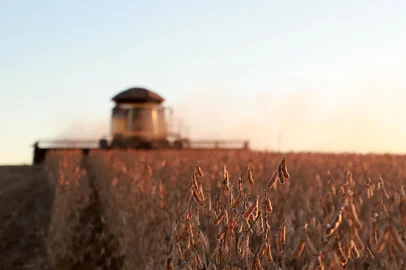 Muitos Capões, RS, Brasil - A soja e a Economia que ela movimenta. Colheita da soja na Fazenda Três Rios nos Campos de Cima da Serra.<!-- NICAID(15747653) -->