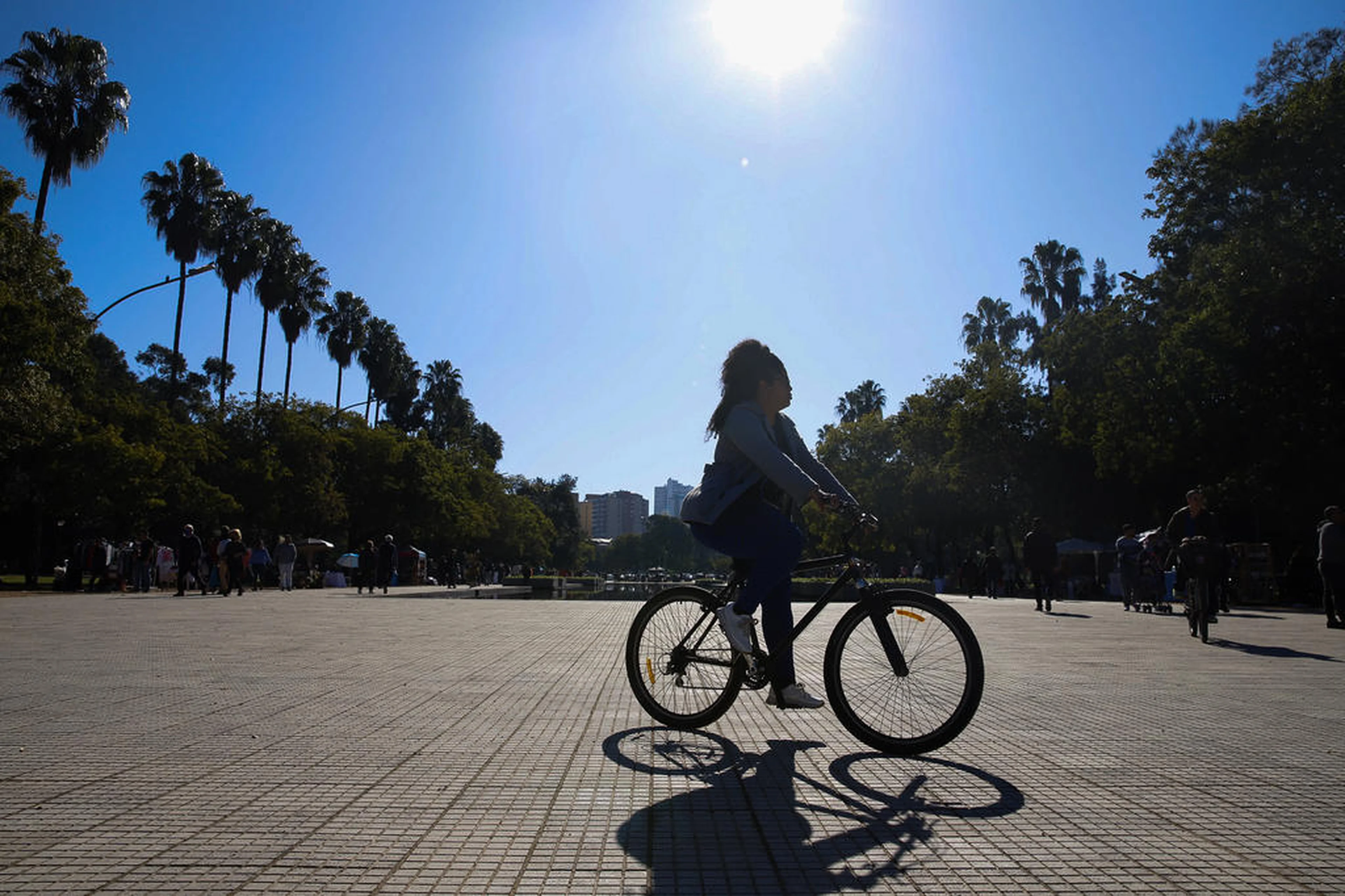 Camila Hermes/Agencia RBS