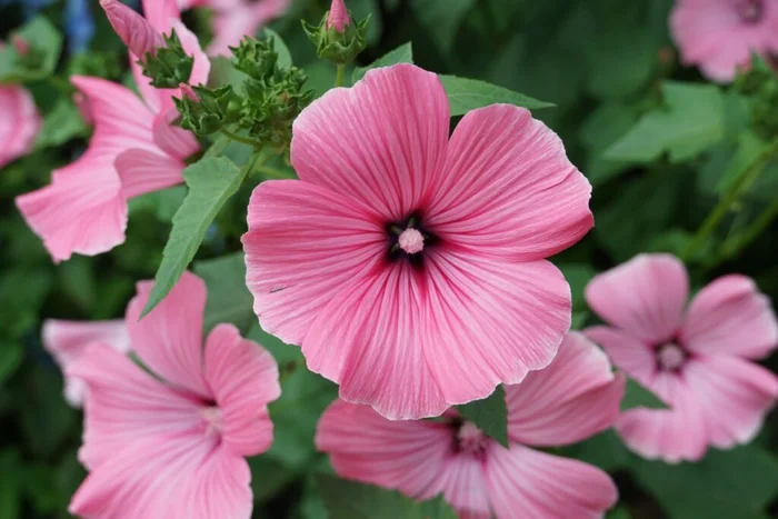Floridafan / Shutterstock | Portal EdiCase Floridafan / Shutterstock | Portal EdiCase