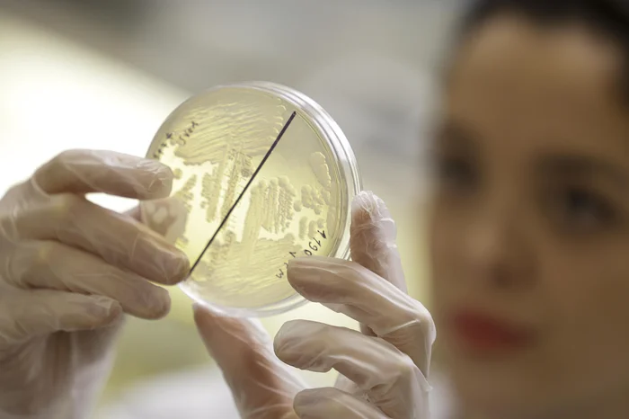 Mateus Bruxel / Agencia RBS Mateus Bruxel / Agencia RBS