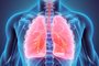 Ilustração 3D dos pulmões humanos -  Foto: yodiyim/stock.adobe.comFonte: 110032672<!-- NICAID(15068143) -->
