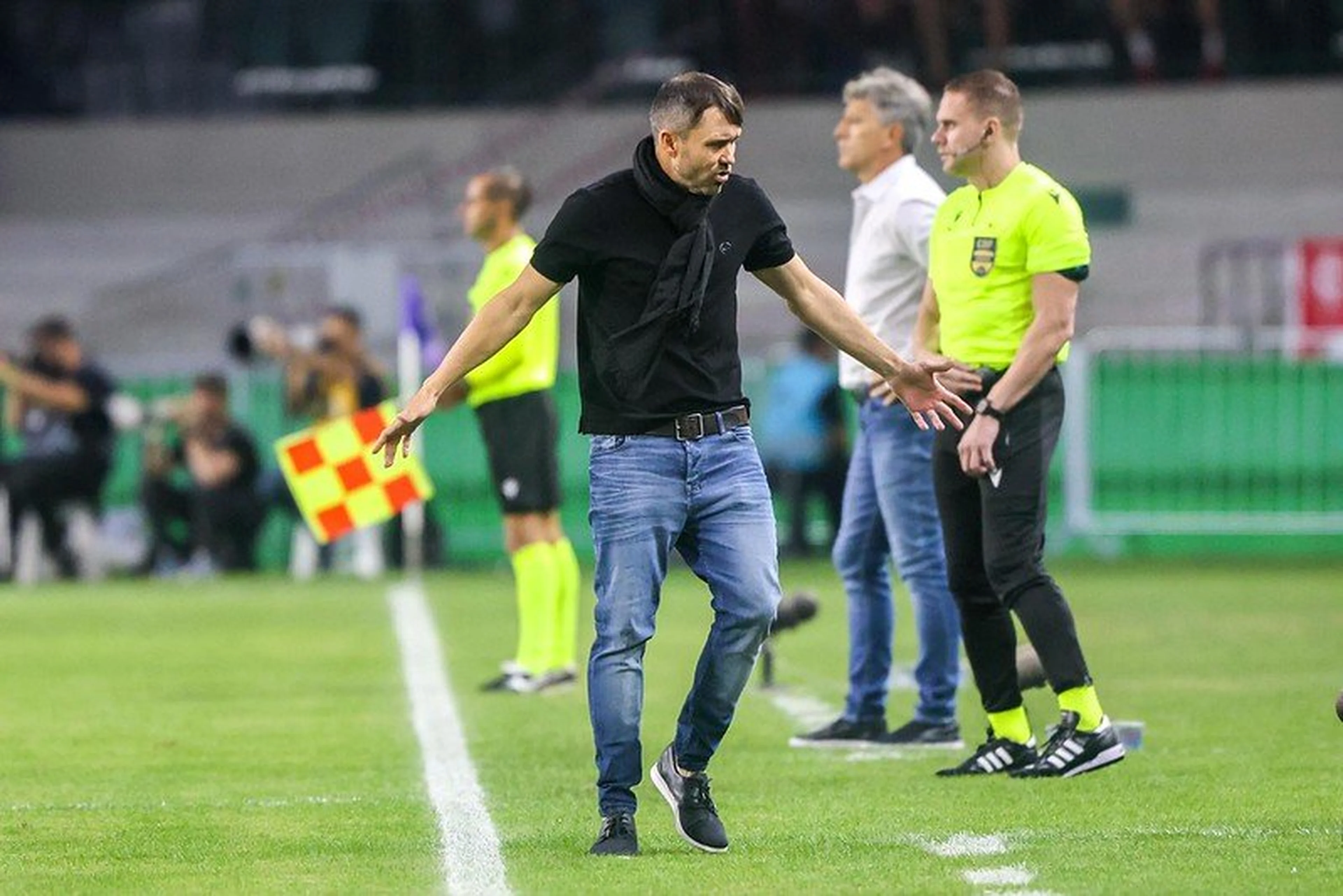Ricardo Duarte, Inter
