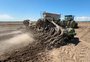 Por que parte da área de arroz pode não ser semeada na região central do Estado