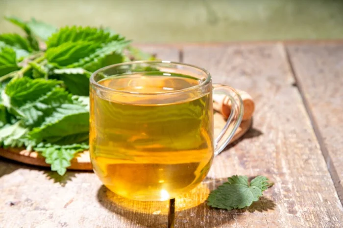 Rimma Bondarenko / Shutterstock | Portal EdiCase