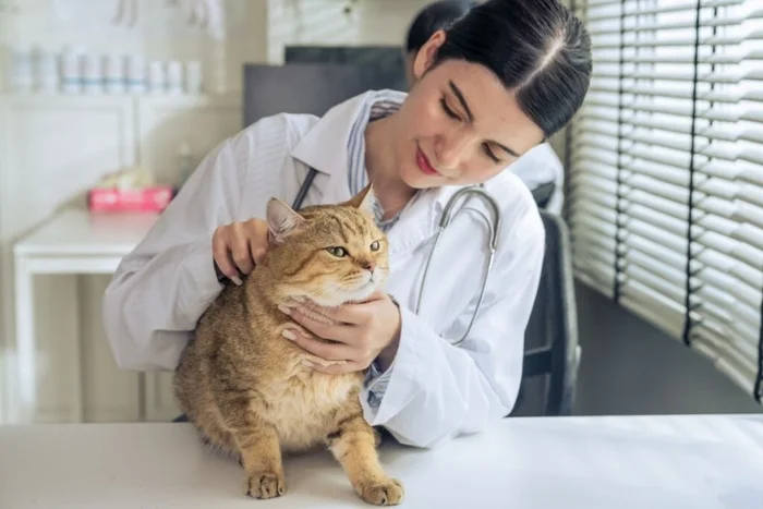 Mongkolchon Akesin / Shutterstock | Portal EdiCase Mongkolchon Akesin / Shutterstock | Portal EdiCase