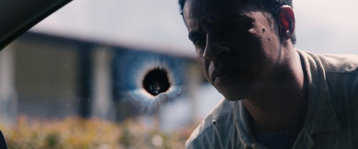 Vitrine Filmes / Divulgação