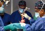 Médicos americanos realizam segundo transplante de coração de porco em humanos