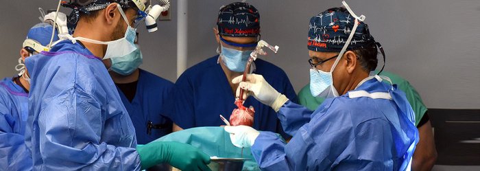 University of Maryland School of Medicine / DIvulgação University of Maryland School of Medicine / DIvulgação