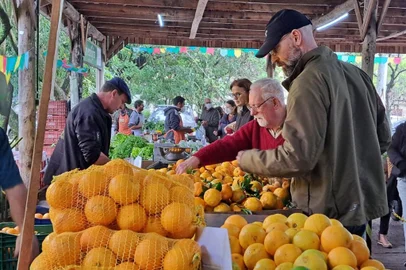 Feira Ecológica do Menino Deus completa 28 anos<!-- NICAID(15131588) -->