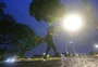 RS tem 44 mil pontos sem luz após temporal de segunda-feira 