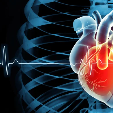 Human heart on ecg background. 3d illustrationRitmo cardíaco - Foto: Crystal light/stock.adobe.comFonte: 633278546<!-- NICAID(15672522) -->