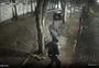 Ladrões roubam cachorro da raça lulu-da-pomerânia durante assalto a pedestre em Porto Alegre; veja vídeo 