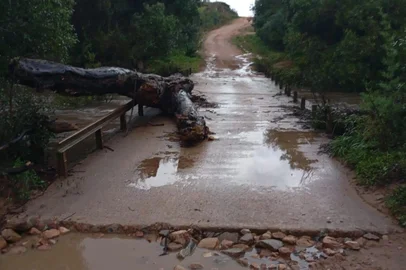 Prefeitura de Pinheiro Machado<!-- NICAID(16347216) -->