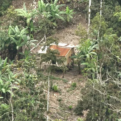 Pedro Perlaza, cativeiro