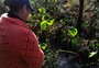 Calor fora de época fez aumentar a incidência do mosquito borrachudo no interior da Serra
